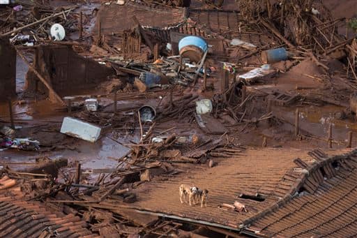 Dos perros están de pie sobre el techo de una casa destruida en Bento Rodrigues.