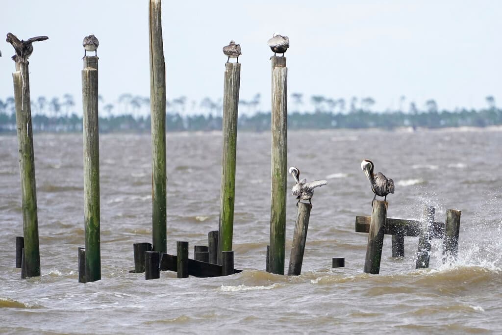 Se espera que Claudette produzca un total de lluvia de 5 a 10 pulgadas con cantidades máximas aisladas de 15 pulgadas en algunas partes de la costa de Mississippi y Alabama, y el oeste del Panhandle de Florida durante la tarde, indicó el Centro Nacional de Huracanes en su más reciente reporte.