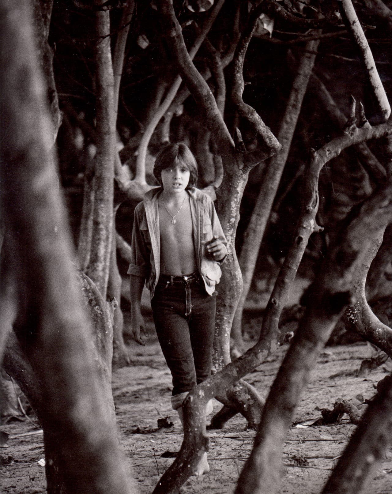 A los 14 años, 
<b>Luis Miguel</b> filmó la película 'Fiebre de Amor', junto con 
<b>Lucero</b> y grabó el sencillo 'Palabra de Honor'.