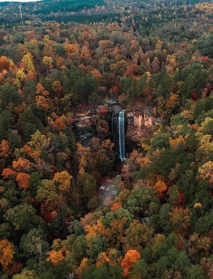Conoce más sobre Toccoa Falls,
<b><a href="https://tfc.edu/about/our-campus/toccoa-falls/">aquí</a></b>.