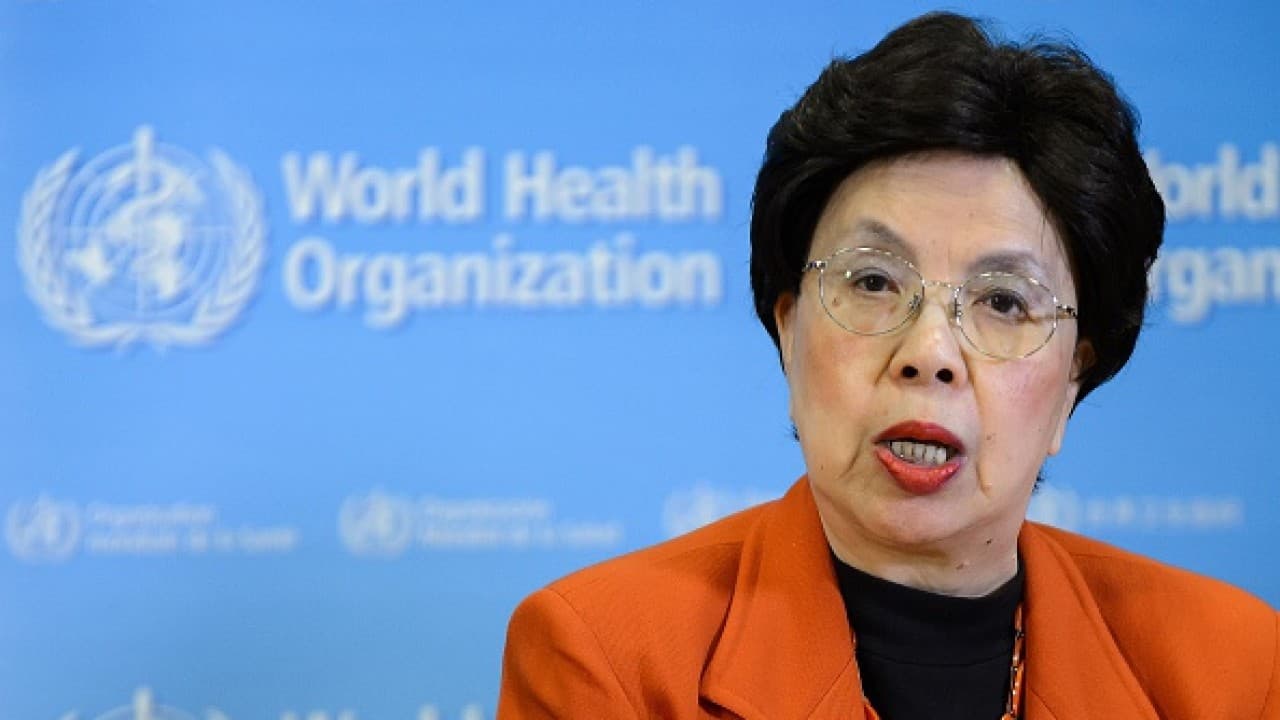 La OMS declara emergencia sanitaria mundial por la propagación del zika 