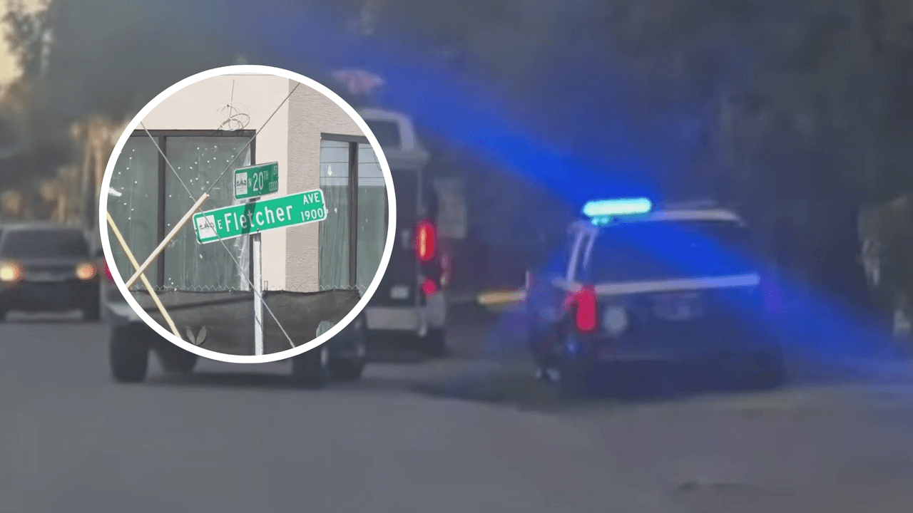 Operativo de ICE en Tampa deja varios detenidos cerca de la avenida Fletcher, según testigos