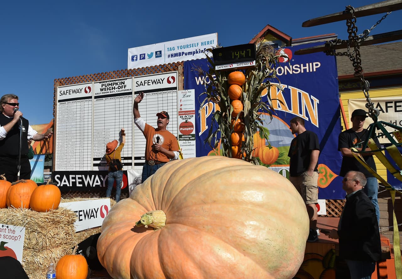 Decenas de personas se dieron cita en el Campeonato Mundial Anual Safeway de Calabazas, en California, para poder observar calabazas gigantes de traídas desde varios estados de la nación.