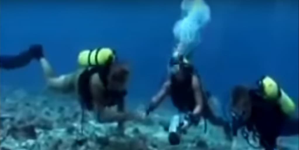 En 2006 estaba grabando un programa en el mar cuando una mantarraya se acercó a Steve y su equipo. El animal lo picó causándole la muerte. Todo quedó documentado en video.