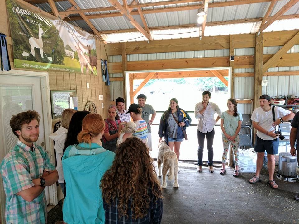 <b><a href="https://www.applemountainalpacas.com/">Número 2: Apple Mountain Alpaca Farm (Clarkesville)</a></b>. Aprende sobre la cría de alpacas en las montañas del noreste de Georgia, mientras disfrutas de una experiencia única.