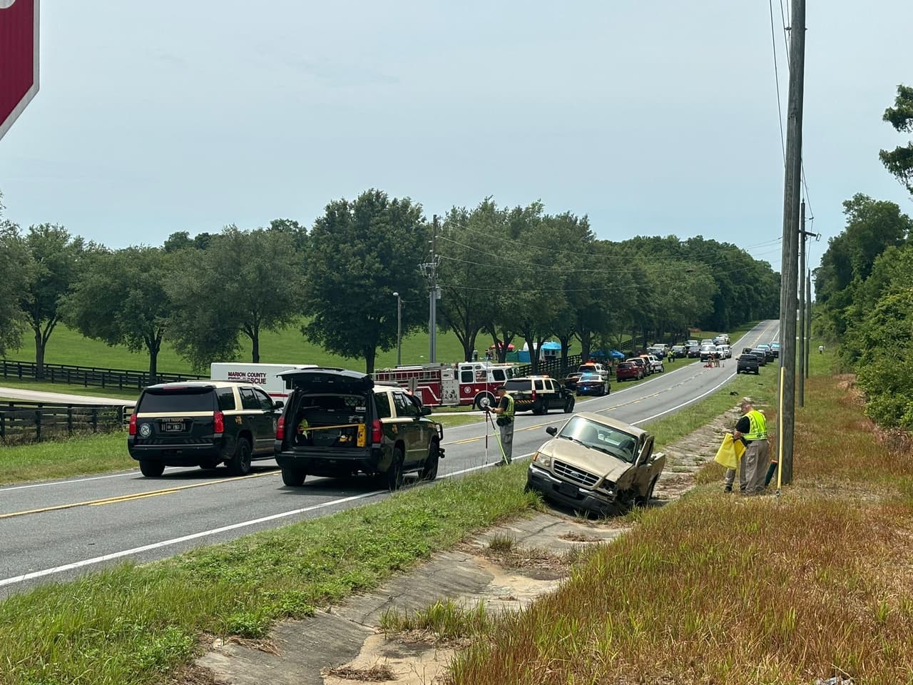 La canciller mexicana Alicia Bárcena fue la primera en confirmar que había nacionales de su país implicados en esta tragedia. 
<b>"Lamento informar que ocurrió un trágico accidente automovilístico en Florida con trabajadores agrícolas mexicanos involucrados</b>. El Consulado de México de Orlando está en el lugar para apoyar a personas mexicanas y brindar protección consular", escribió.
