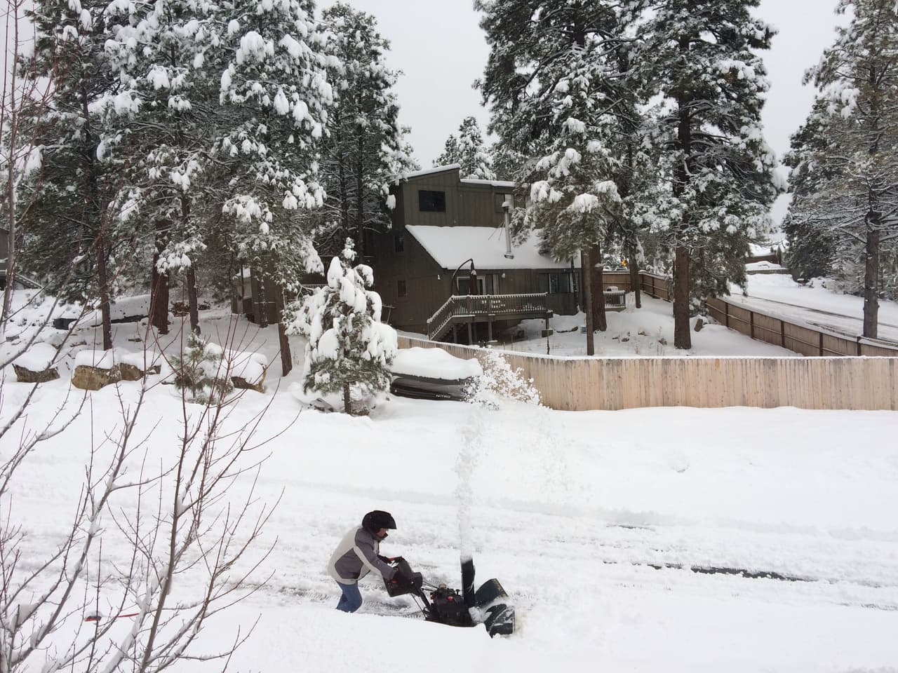 Desde este miércoles, no ha dejado de nevar en Flagstaff, cubriendo de blanco por completo la ciudad. Este jueves se esperan de 3 a 8 pulgadas de nieve.