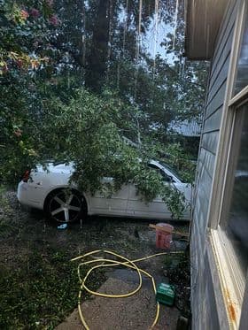 Luis Montalvo nos compartió en Facebook esta fotografía de un árbol sobre su auto.