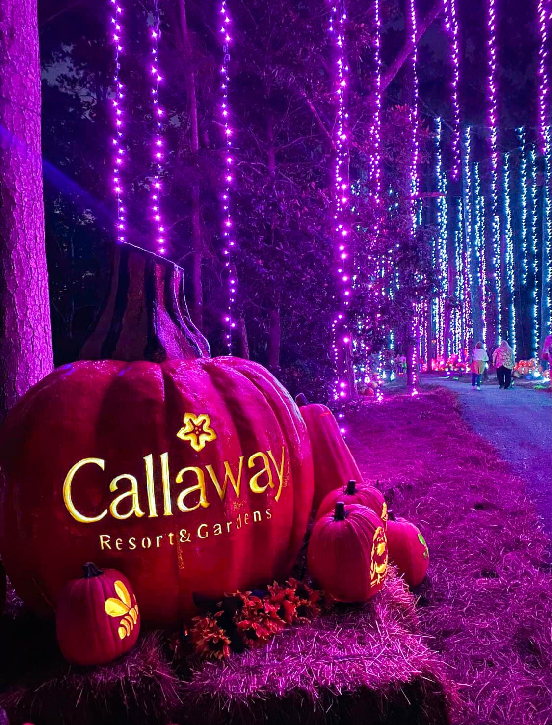 <b>Fantasy in Lights – Pine Mountain</b>
<br>
<b>Fechas</b>: 17 de noviembre al 1 de enero de 2024
<br>
<b>Lugar</b>: Callaway Gardens. 17800 U.S. 27. Pine Mountain, GA
<br>
<b>Sitio web</b>:
<a href="https://www.callawaygardens.com/the-gardens/events/fantasy-in-lights/">https://www.callawaygardens.com/the-gardens/events/fantasy-in-lights/</a>
<br>
<br>El espectáculo navideño incluye un recorrido panorámico de siete millas con 17 escenas brillantemente iluminadas con un bosque de luces parpadeantes, copos de nieve gigantes y más.