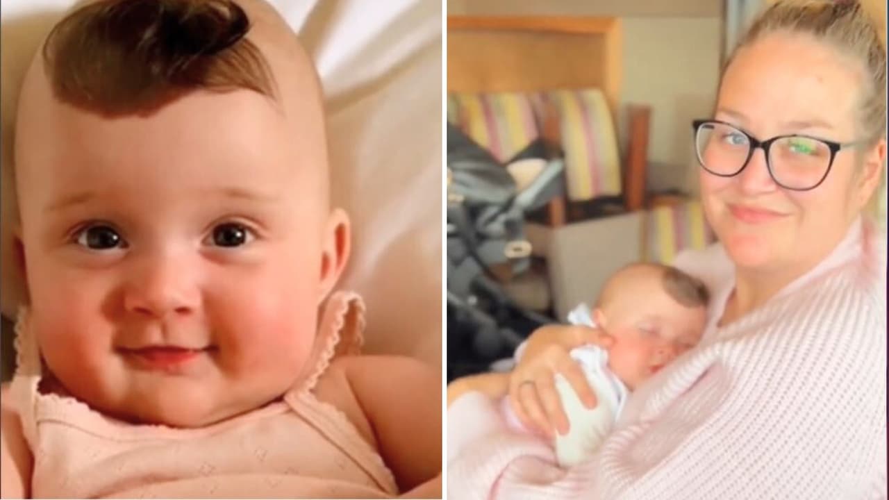 Bebé unicornio de Nueva Zelanda