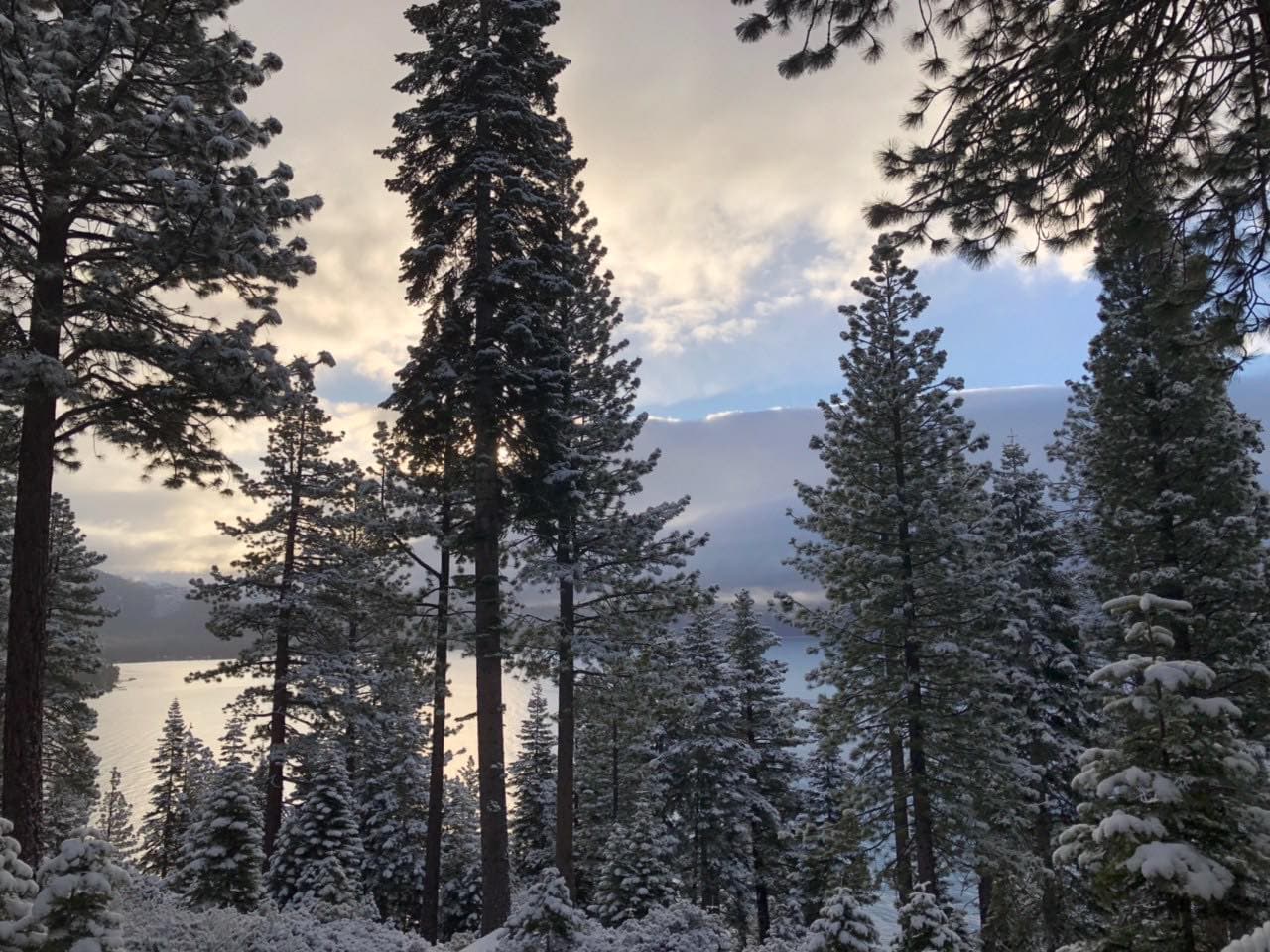 Y aunque no habrá nieve en las zonas metropolitanas, no guarde sus abrigos, ya que las bajas temperaturas y los fuertes vientos también se sentirán a lo largo de esta semana.