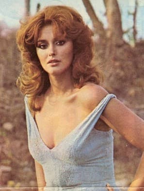 'Viviana' fue la telenovela que en 1978, a los 23 años, convirtió a Lucía Méndez en toda una estrella. Junto a Héctor Bonilla y Juan Ferrara, vivió la historia de una joven enamorada que no sospecha que su marido ha cometido bigamia, engañándola al casarse al mismo tiempo con la hija de un hombre rico. Fue una novela tan popular, que el nombre de la protaginista se puso de moda.