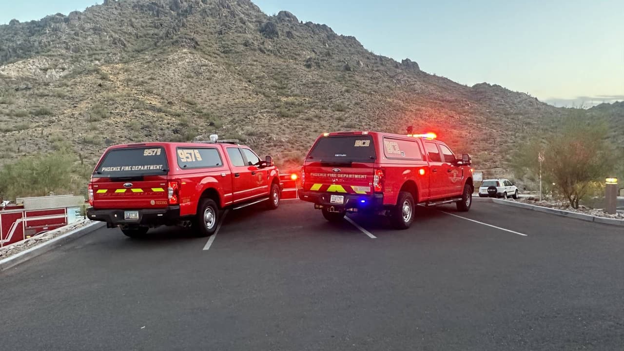 Hombre es acusado de negligencia después de que uno de sus perros muriera por calor