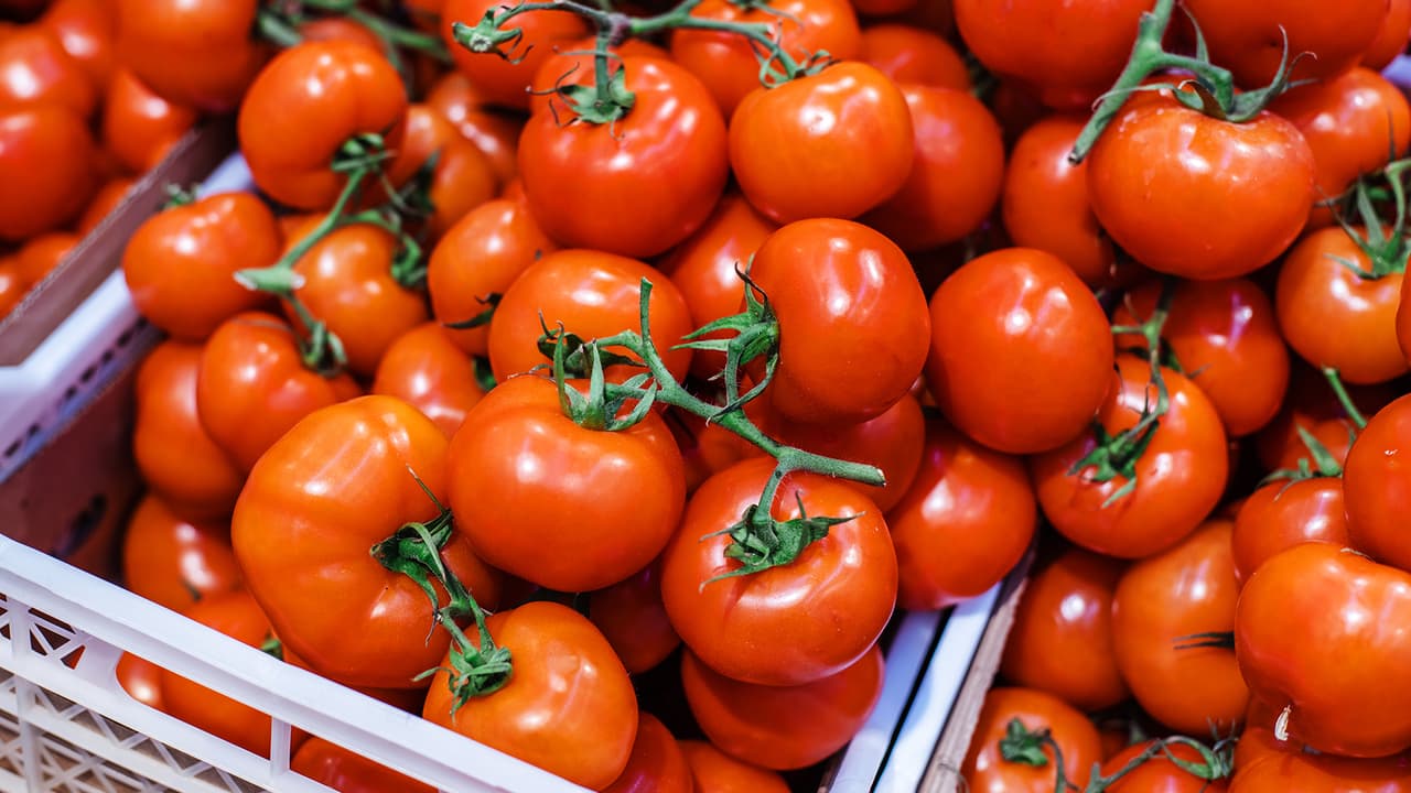 Preocupa el aumento de precio en tomate luego que EEUU frenara la importación de una empresa en México