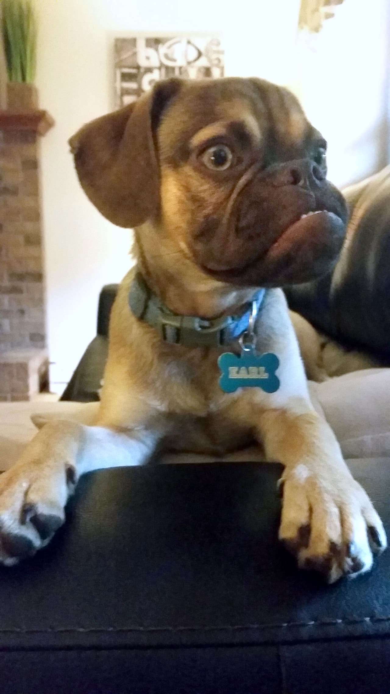 ¿Algún día lo veremos sonreír?