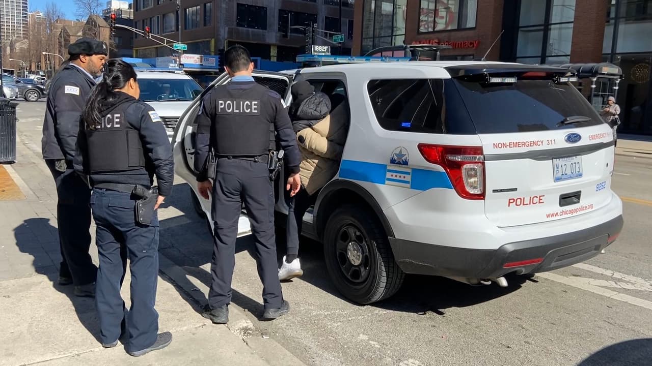 Cinco personas fueron detenidas tras un robo organizado en una tienda en el centro de Chicago