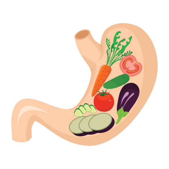 Una de las condiciones que más suele afectar a los nativos de este signo es la llamada “diverticulitis”, así como la flatulencia y la irregularidad a la hora de la evacuación, de ahí la necesidad de consumir alimentos ricos en fibras vegetales que facilitan el proceso digestivo.