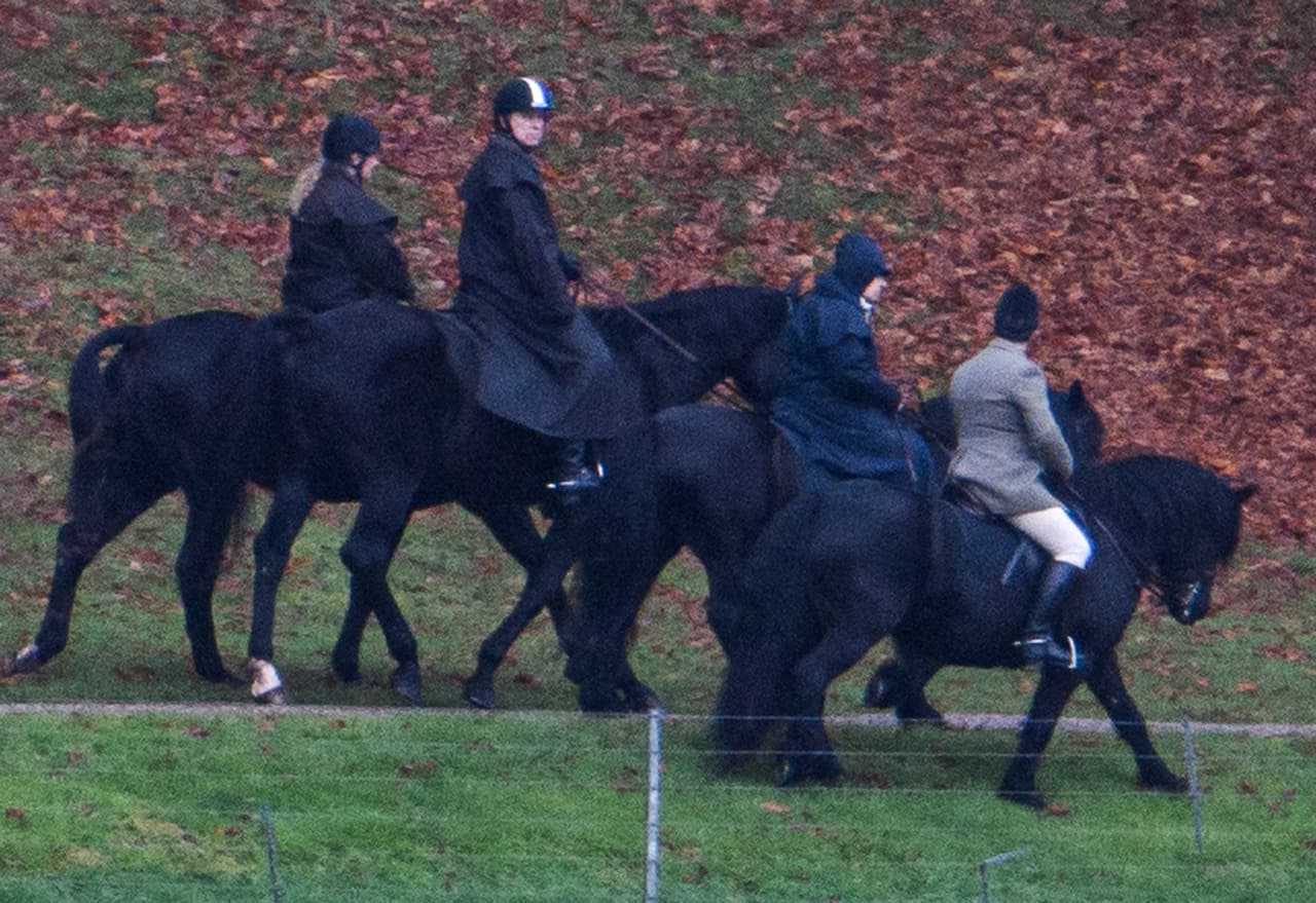 Las primeras fotografías del príncipe Andrew junto a su madre, la reina Isabel II, luego de anunciar su retiro de las labores reales salieron a la luz este viernes, según información del diario británico 
<a href="https://www.dailymail.co.uk/news/article-7714587/Queen-Prince-Andrew-ride-solidarity-Majesty-sacked-him.html" target="_blank">Daily Mail</a>.
