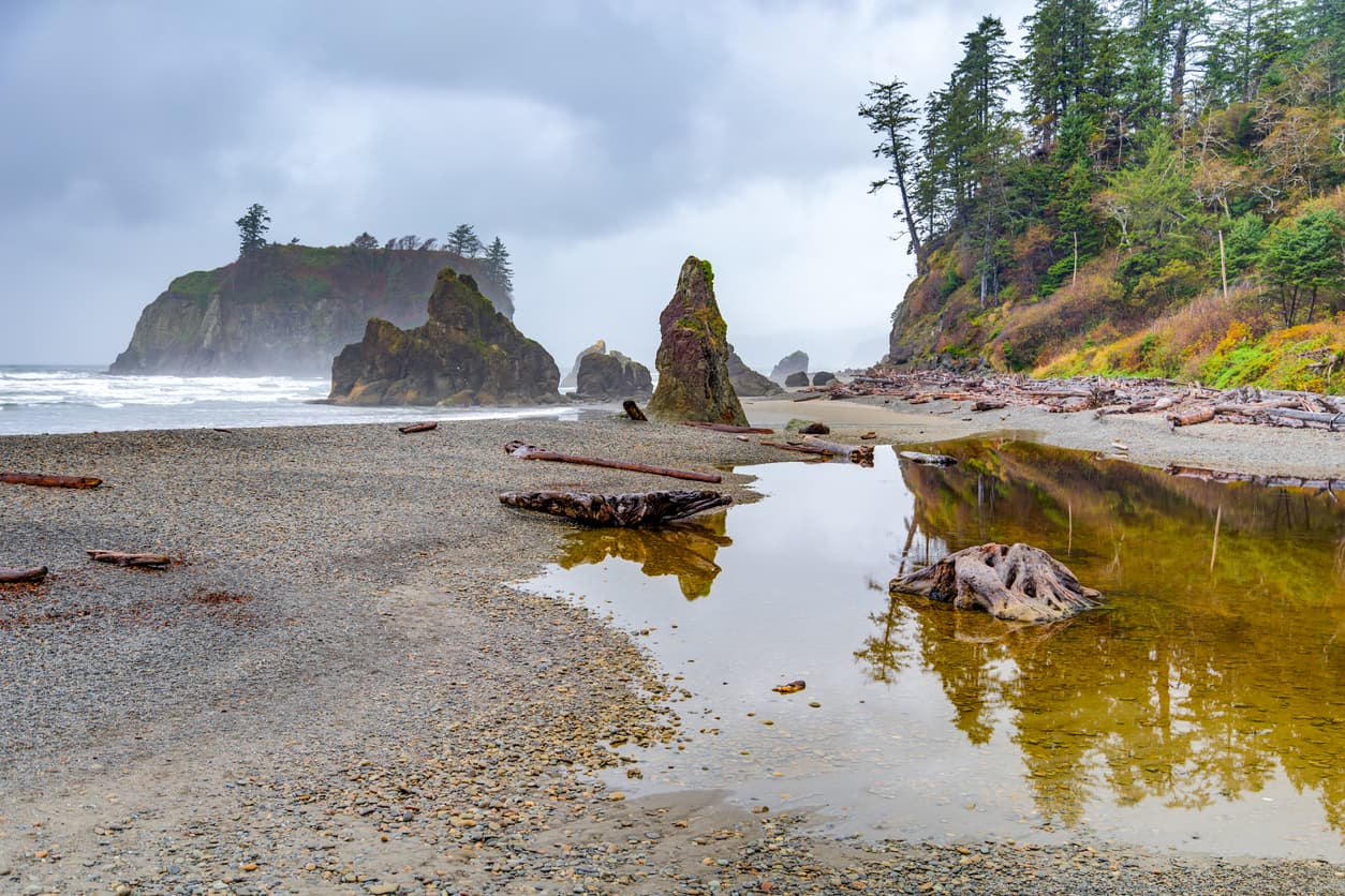 <b>9. Olympic National Park, estado de Wasghinton: </b>este parque nacional, ubicado en la 'Península Olímpica', ofrece una gran cantidad de posibilidades para los amantes de la naturaleza, desde increíbles excursiones hasta parajes para fotos, paseos marítimos u observación de estrellas y el cielo nocturno. Tiene casi un millón de acres y montañas cubiertas de glaciares, bosques templados y una costa salvaje y preservada. El parque es Patrimonio de la Humanidad y Reserva Internacional de la Biosfera.