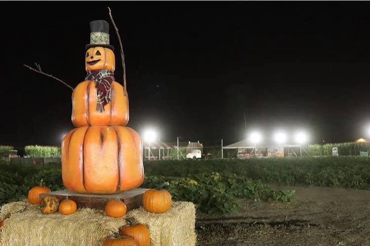 <b><a href="https://frostysforest.com/" target="_blank">Frosty’s Forest</a></b>: 
<br>Abierto desde el 1 y hasta el 31 de octubre esta granja ofrece un gigantesco laberinto de maíz, jardín de girasol, tiro al blanco de paintball, zoológico, atracciones inflables, juegos de carnaval y una nueva y aterradora llamada Dark Harvest te esperan esta temporada. La entrada y cada atracción en la granja tienen costo, verifícalos en este
<a href="https://frostysforest.com/HoursAdmission"> <u>enlace</u></a>.
<br>Dirección: 14861 Ramona Ave.,
<br>