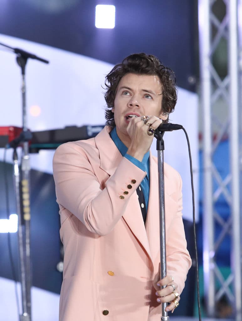 <b>Harry Styles </b>
<br>Saltó a la fama por la versión británica del programa 'The X-Factor', en donde se formó la agrupación One Direction y después se convirtió en músico solista; sin embargo, también incursionó en el mundo de la actuación.