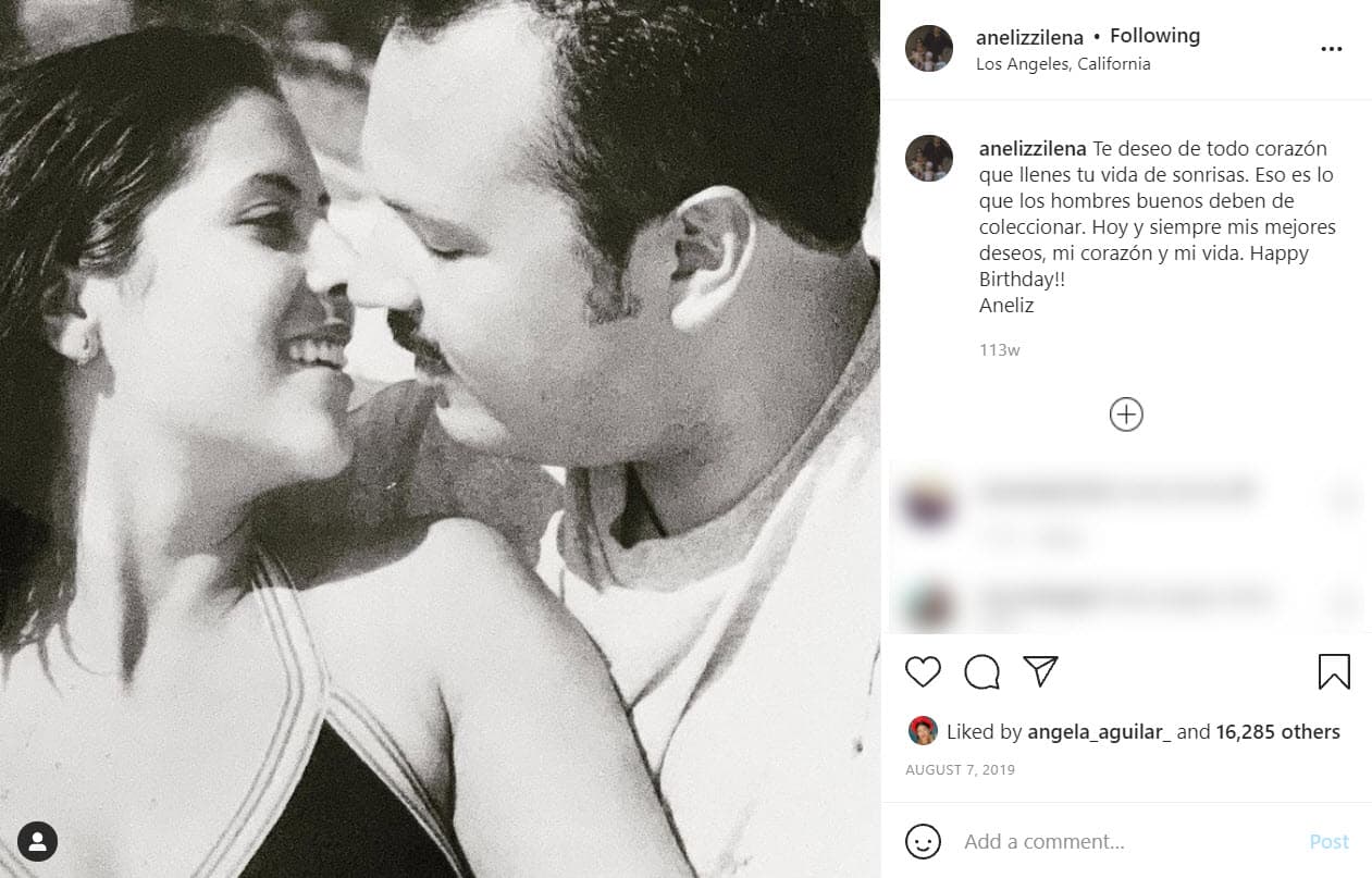 Pepe Aguilar y 
<a href="https://www.univision.com/temas/aneliz-alvarez">Aneliz Álvarez</a> se conocieron en la década de 1990 cuando ella apareció en un video de su hermano mayor Antonio Aguilar Jr.
<br>