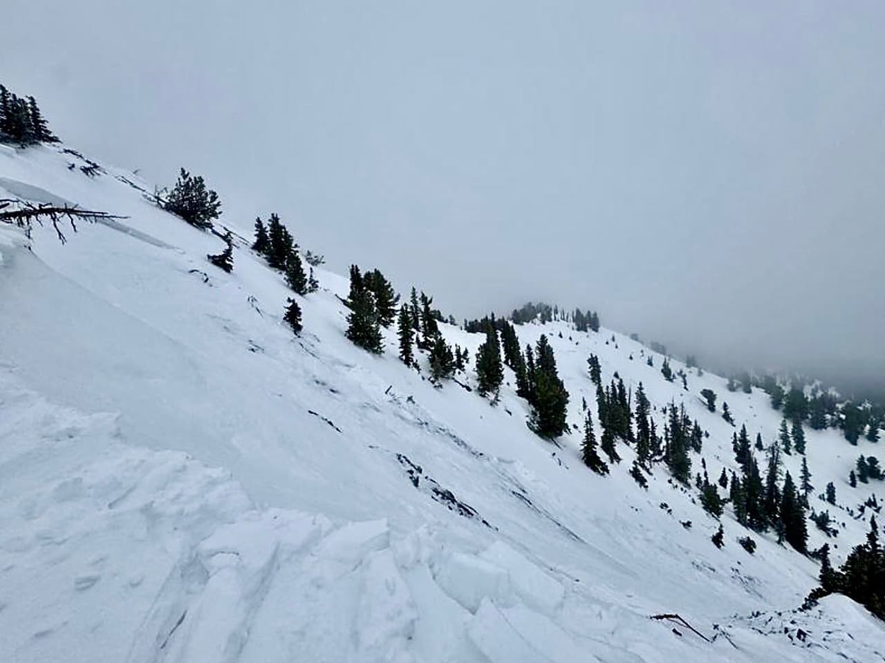 Hombre salva a su hermano mayor, tras quedar atrapado en una avalancha en Franklin Basin