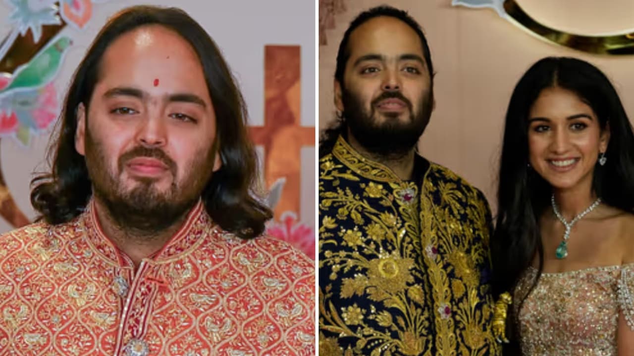 Famoso multimillonario de la India busca salvar a 80 hipopótamos a casi dos años de su extravagante boda viral
