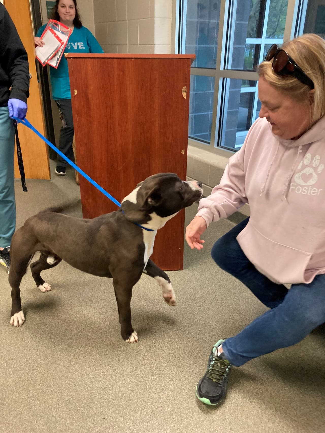 Su nueva dueña, Jacqui Bankes, llegó al Centro de Animales del Condado de Wake para llevarlos a su nuevo hogar. Una de las preocupaciones para la adopción era que los separaran, pero no será así.