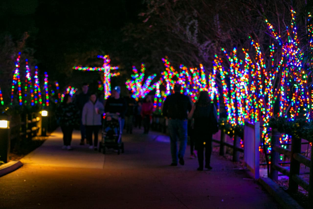Cada año, el Zoológico recibe miles de visitas que viven una experiencia única con su iluminación.