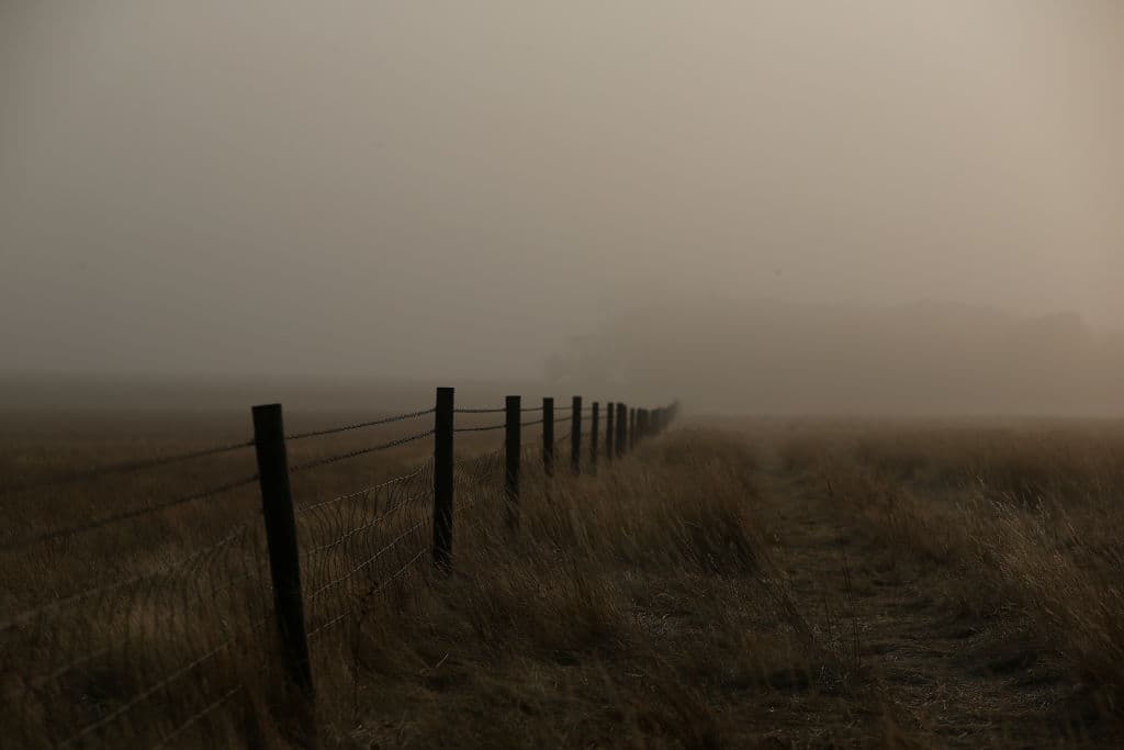 Los incendios, considerados entre los peores del siglo en Australia, han calcinado al menos seis millones de hectáreas de terreno, lo que equivale a dos veces la superficie de Bélgica.