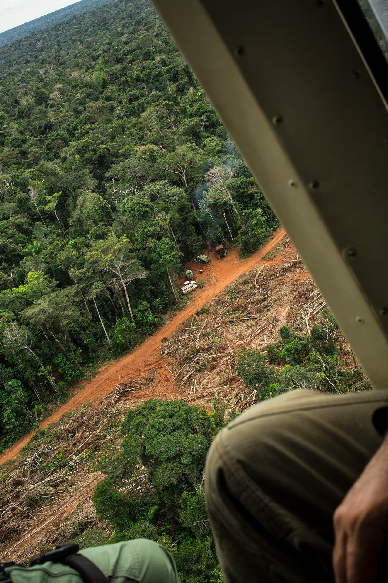 Criminals use bulldozers that drag a tree-cutting chain mechanism to destroy the forest at an incredibly fast pace.