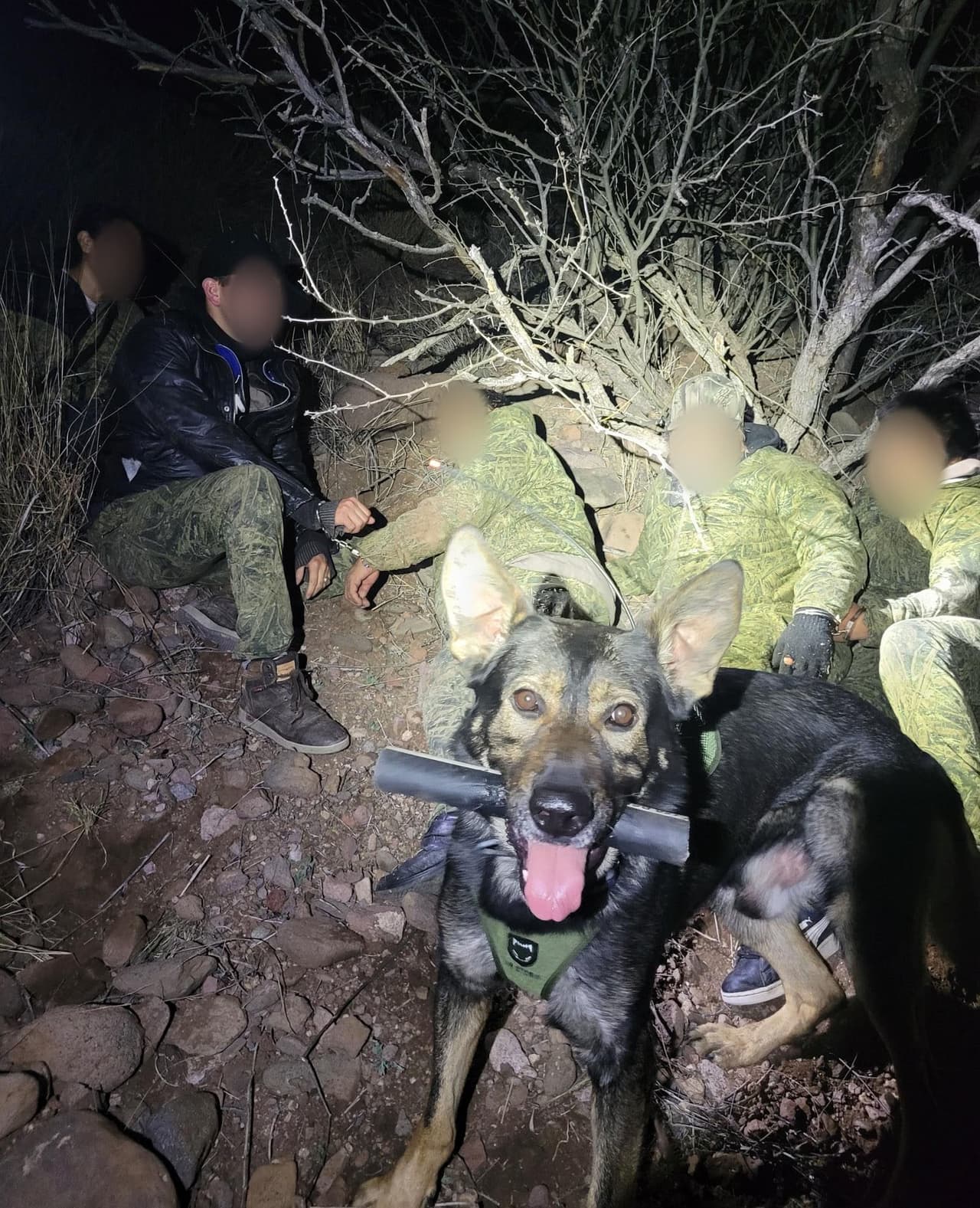 Con la ayuda de un perro K9 y apoyo aéreo, los agentes de la estación de Tucson ubicaron a seis migrantes cerca del puesto de control de inmigración en Arivaca Road el sábado por la noche.