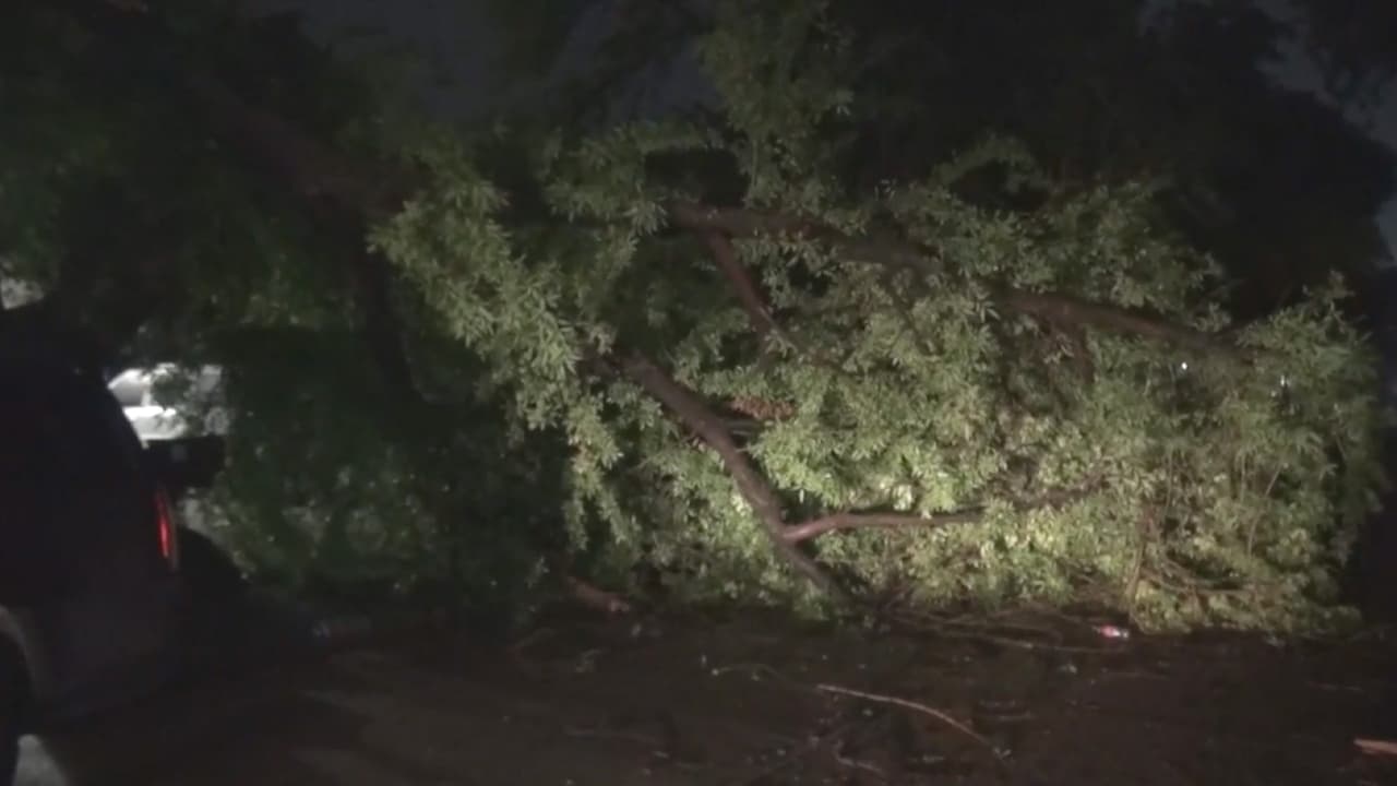También hubo reportes de árboles caídos y escombros en las carreteras lo que crearon condiciones peligrosas para los conductores.
