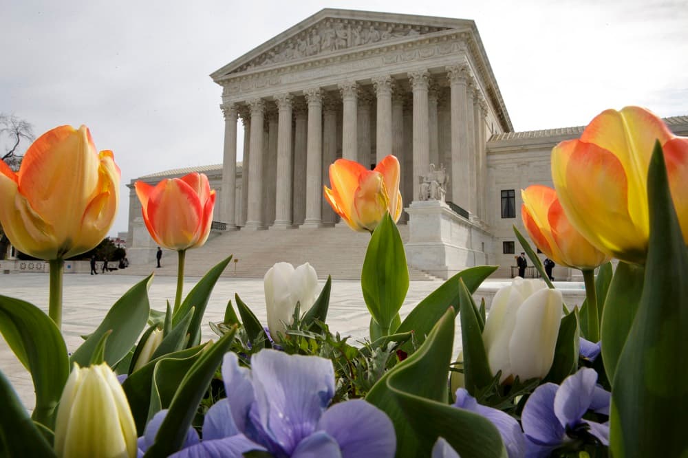 La Corte Suprema de Justicia ratifica el principio de “una persona un voto” en el diseño de distritos electorales
