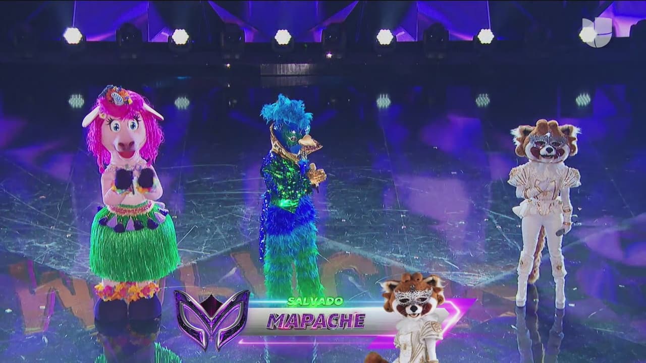 Los tres personajes en zona de riesgo fueron Unicornio, Quetzal y Mapache. Para uno de ellos la aventura de ¿Quién Es La Máscara? había llegado a su fin, solo que ahora serían los 'investigadores' quienes decidirían a quiénes salvar.