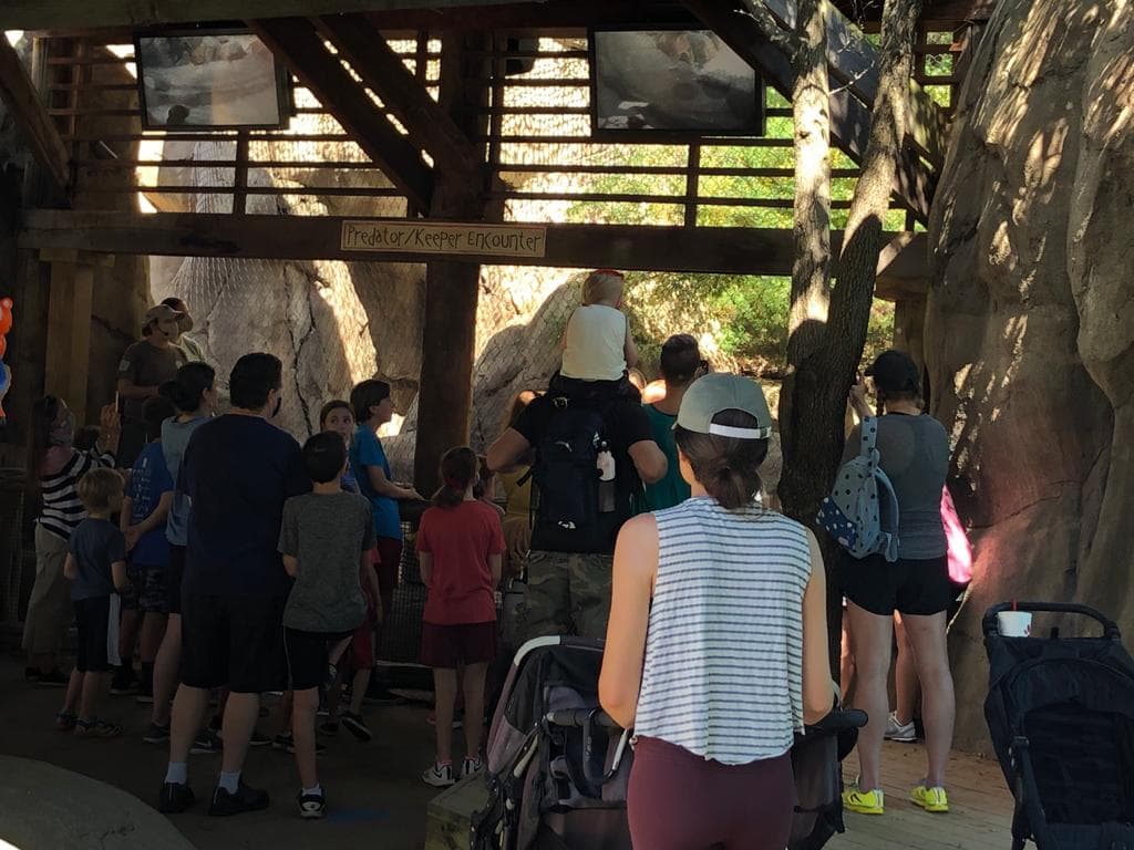 Autoridades de salud recomiendan a los asistentes mantener el distanciamiento social y seguir las normas de seguridad para evitar nuevos brotes de coronavirus.
<br>