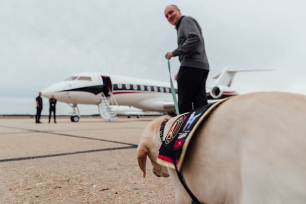 Eales dio un tratamiento absolutamente VIP a Spike.