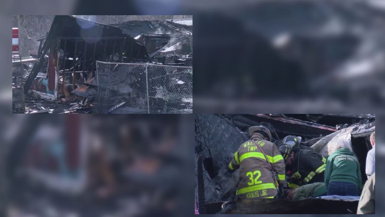 Incendio destruye centro de vida silvestre y deja varios animales muertos