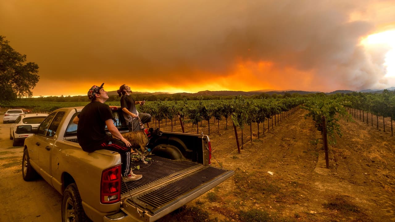 Emiten advertencia por altas temperaturas y riesgo de incendios para el fin de semana en el Área de la Bahía