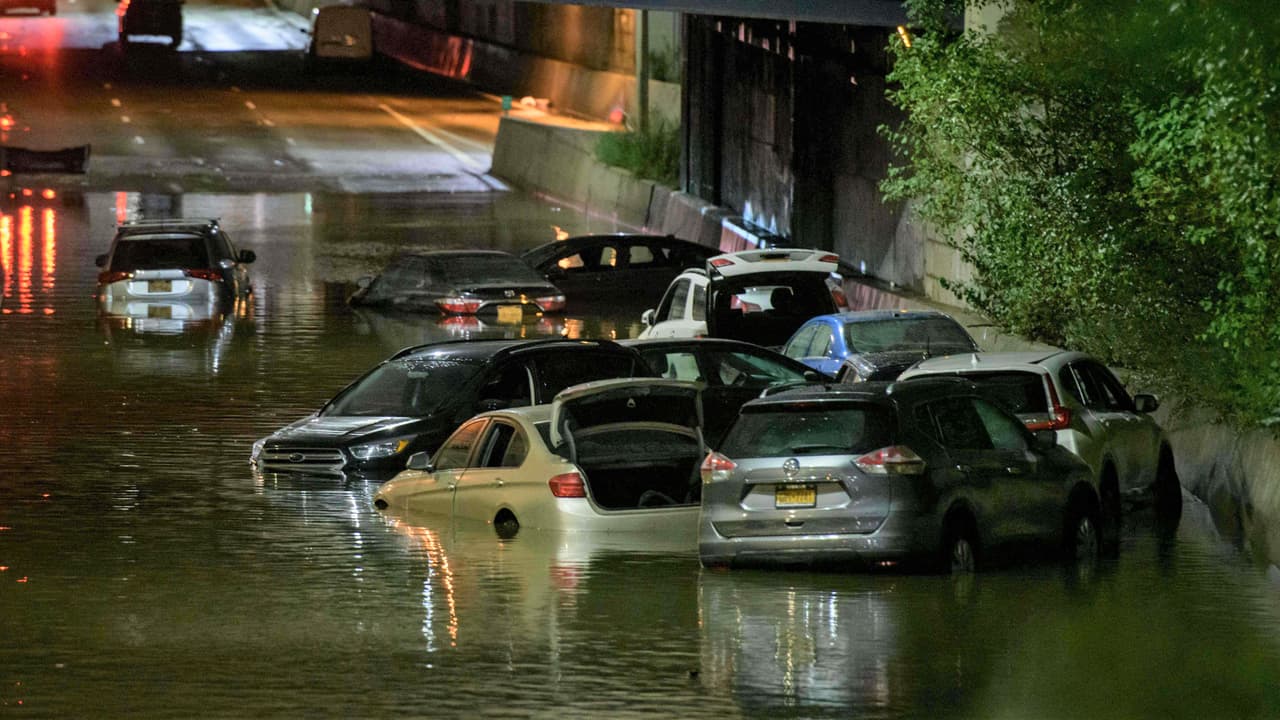 ¡Que no te estafen! Evita comprar un carro inundado siguiendo estos consejos