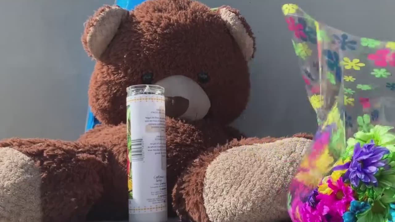 El menor iba sentando en un asiento de seguridad a bordo del auto que conducía su mamá. Por razones que aún se desconocen, alguien detonó un disparo en plena autopista desde otro vehículo y este impactó a la víctima.