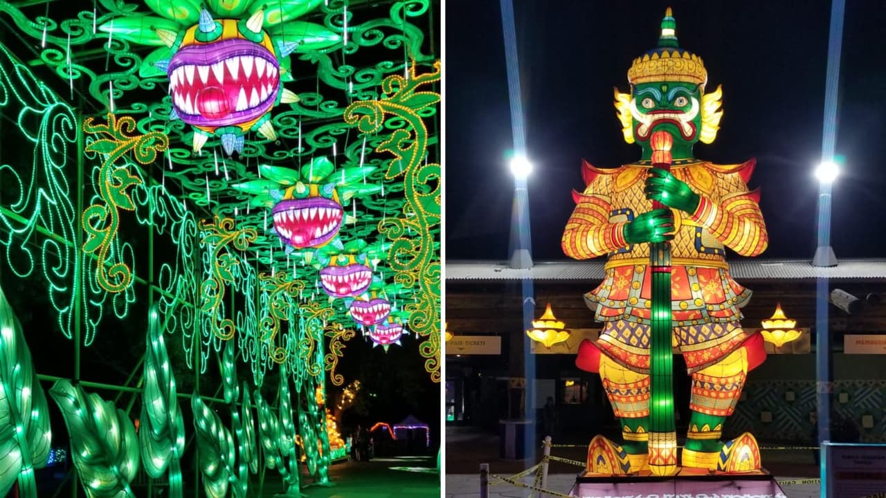 Promo apertura IllumiNature.jpg