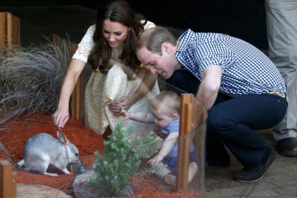 Eso refuerza un poco más la popularidad del joven que, junto a su esposa Kate, es uno de los miembros más apreciados de la familia real.