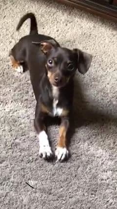 María presenta a Carmelo.