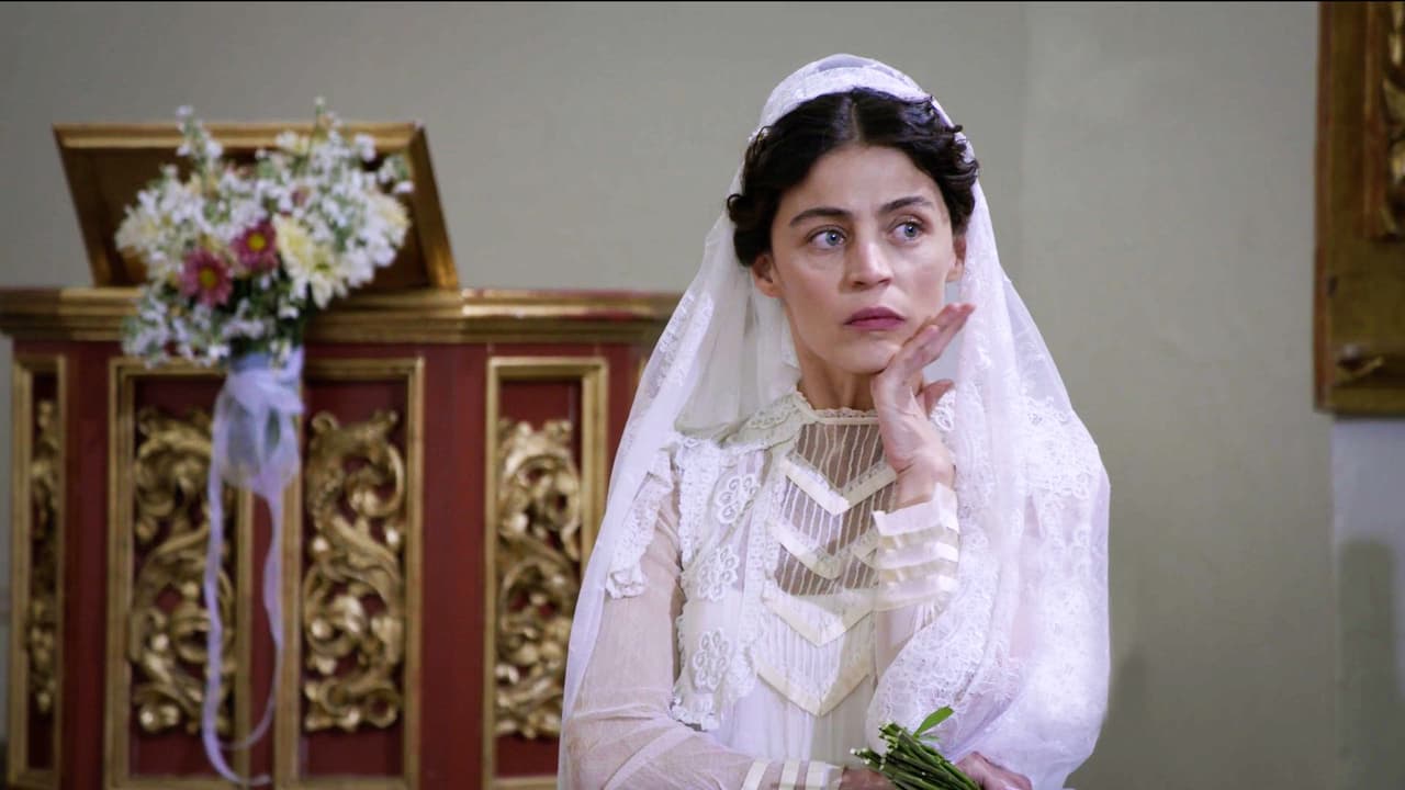 Desde que supo que Andrés era parte de la familia Alarcón y el heredero de toda la fortuna y el Gran Hotel, no se rindió hasta casarse con él.