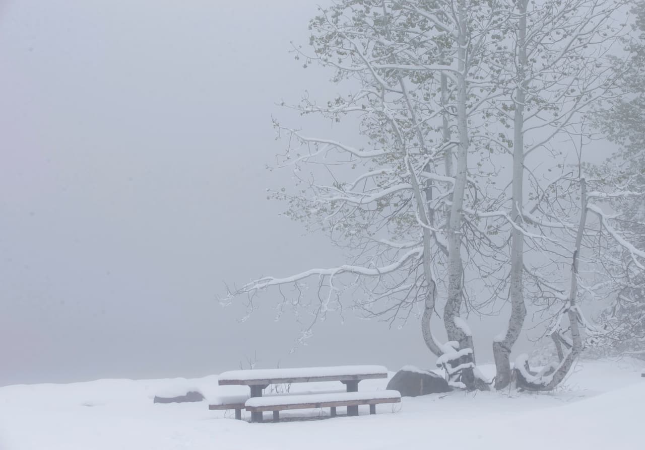 Una tormenta de nieve sorprendió al norte de California en junio de 2019. La nevada fue tan fuerte que superó los récords en una década.