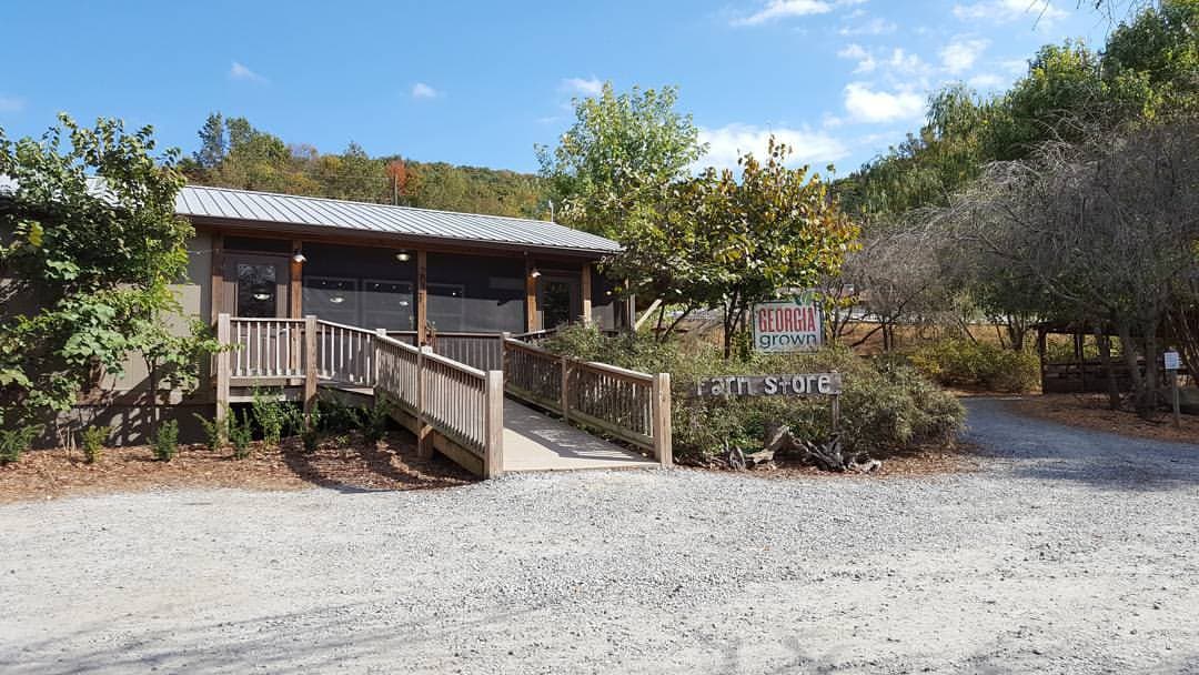 <b><a href="http://grassfedgeorgia.com/">Número 5: Mountain Valley Farm (Ellijay)</a>. </b>Ubicada en el hermoso Clear Creek Valley en las montañas del norte de Georgia, Mountain Valley Farm ha sido propiedad y administrada a nivel familiar continuamente desde 1840. Visita la Farm Store, ubicada en el medio de la lechería de 300 vacas, y acérquese y personal a los animales de granja y sus crías (cerdos, cabras, terneros, conejos, gallinas, ovejas).