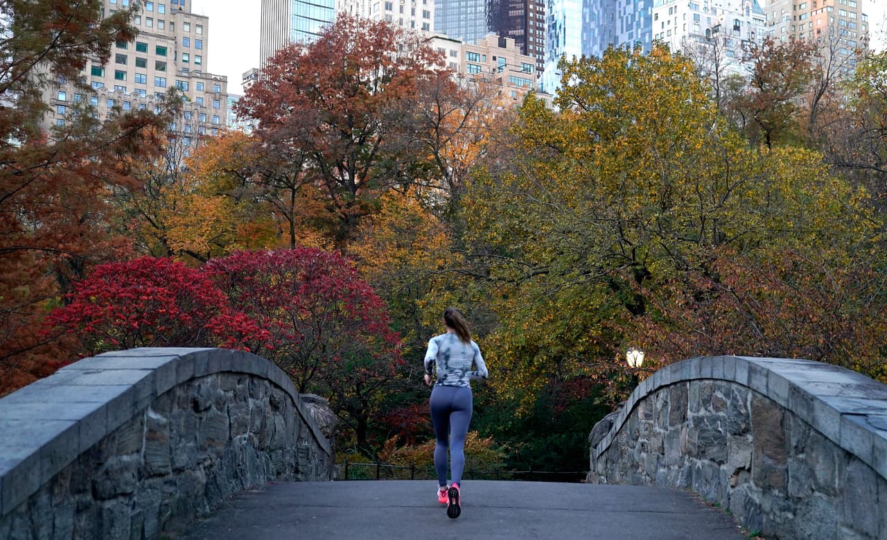 "El cambio climático en general esta cambiando el patrón del tiempo en todo el país, y en el noreste específicamente estamos viendo eventos de lluvia más importantes, en el verano y también en el otoño también vimos unos huracanes afectando el estado y esto en parte contribuyó a que los colores no estuvieran tan brillantes", comunicó Ellis.