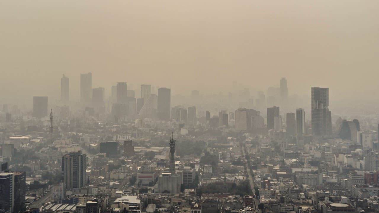Así enfrentan la aguda contaminación del aire algunos habitantes de la Ciudad de México